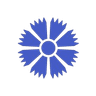 Belarus Airlines